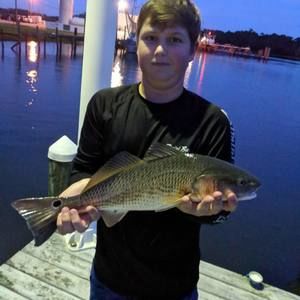 Meet your Posher, Darren